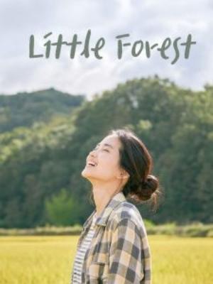 سینمایی جنگل کوچک زمستان/بهار(Little Forest: Winter/Spring)